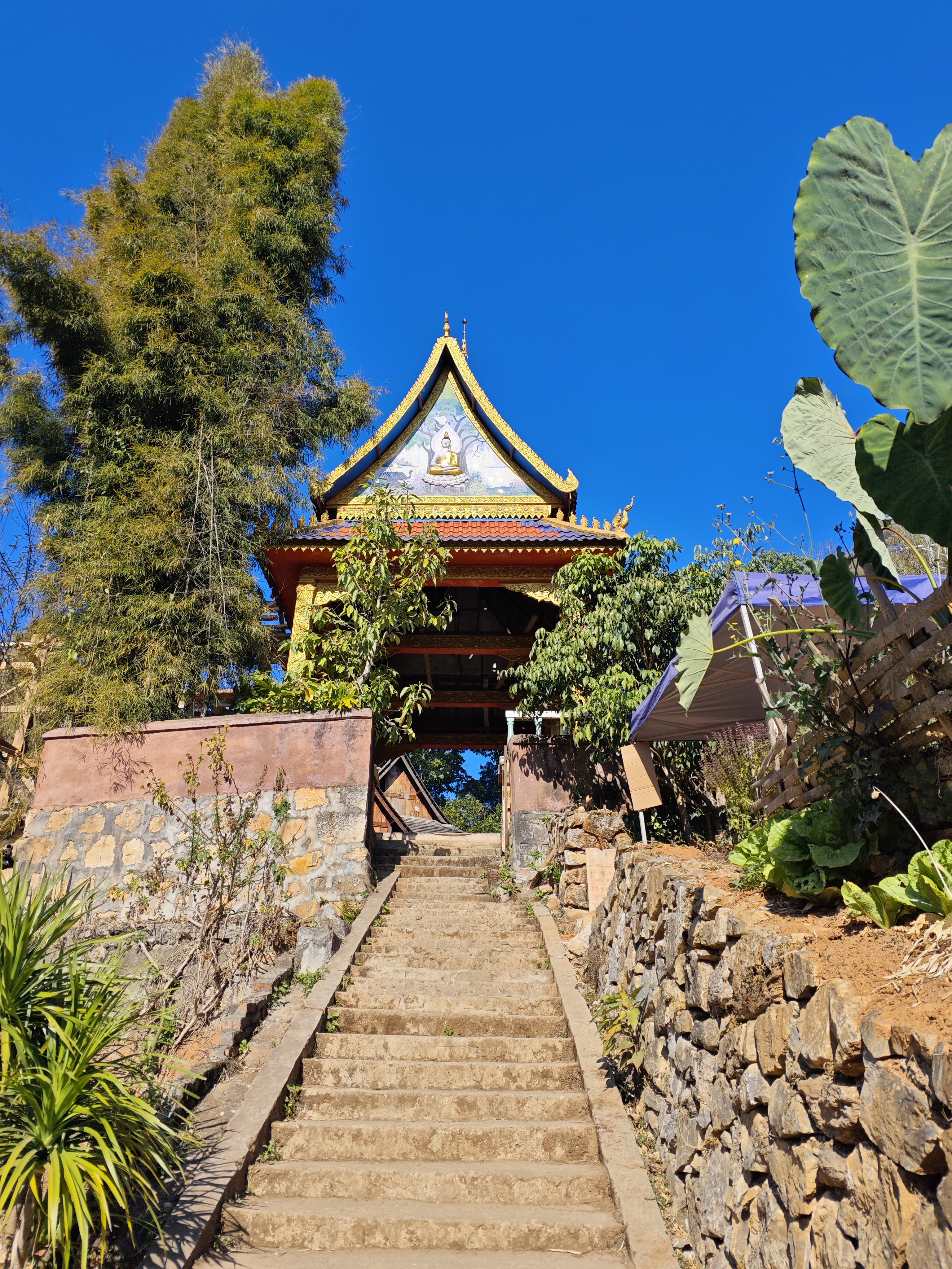 资料图:显示景迈山糯干古寨的传统建筑与石阶。